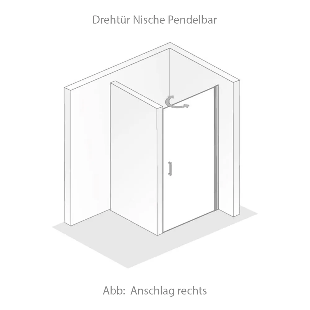 HSK Favorit Nova Drehtür Pendeltür für Nische 100x195cm Alu Silber-matt-Klar Hell-Linksanschlag